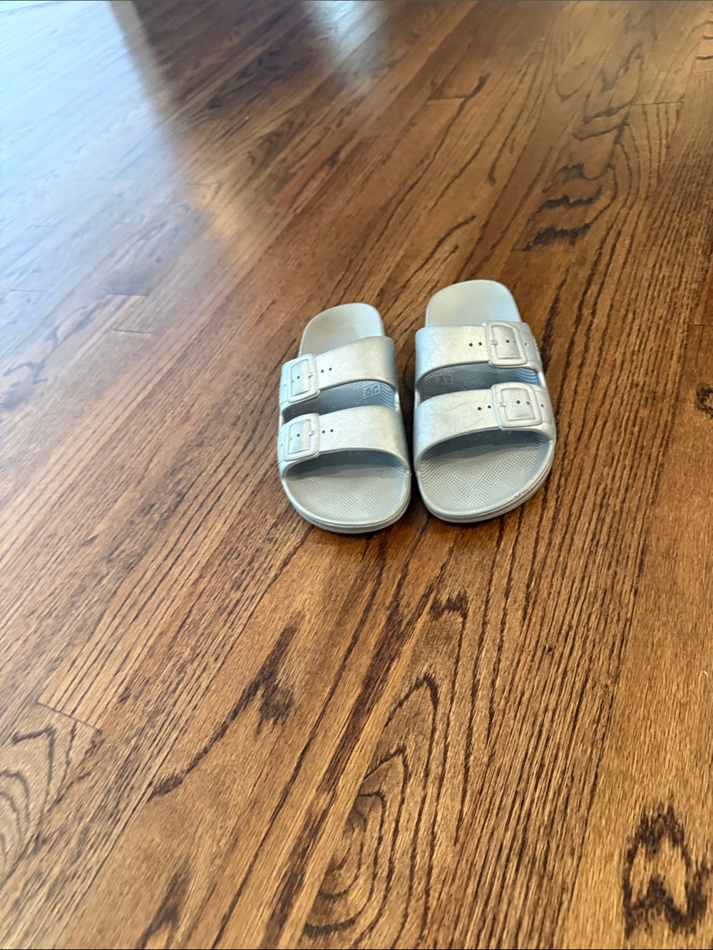 Women’s Double-Buckle Slide Sandals in Silver